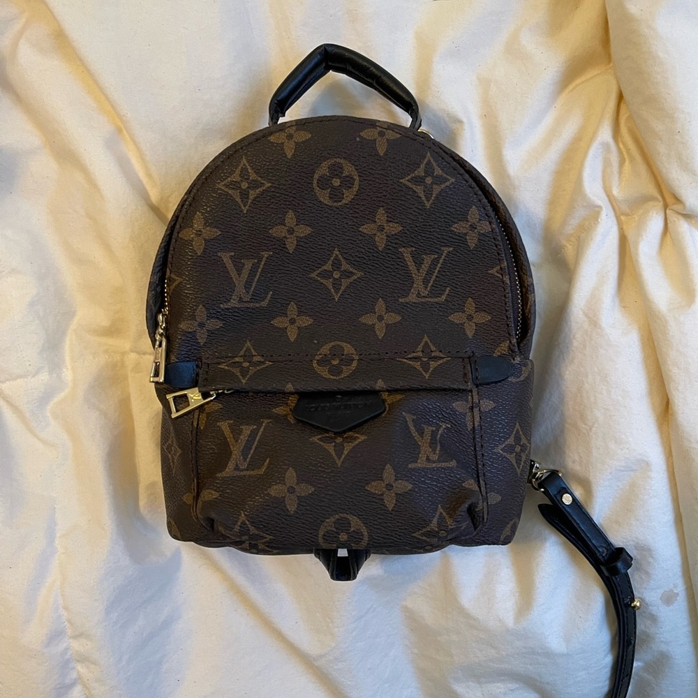 Louis Vuitton Palm Springs Mini Backpack